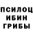 Псилоцибиновые грибы прущие грибы EmoElmo87
