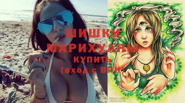 мдма Ельня