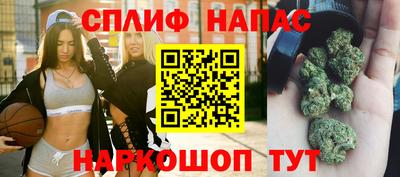 прущие грибы Краснокаменск