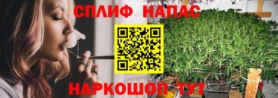 Альфа ПВП Краснознаменск